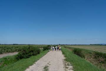 DSC00026.jpg
