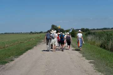 DSC00033.jpg