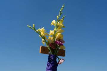 DSC00041.jpg