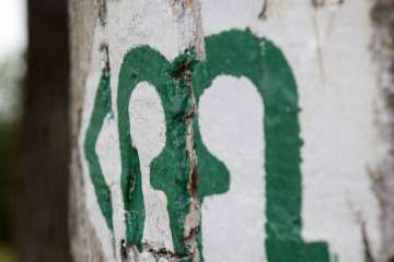 DSC_5371.jpg