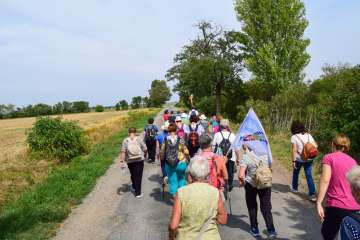 DSC_5416.jpg